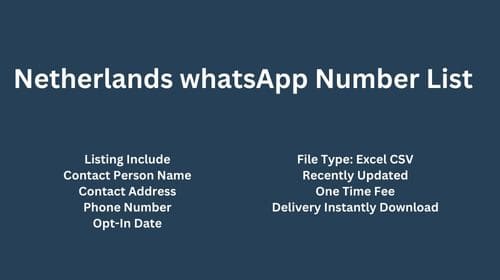 Netherlands WhatsApp Number List