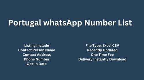 Portugal WhatsApp Number List